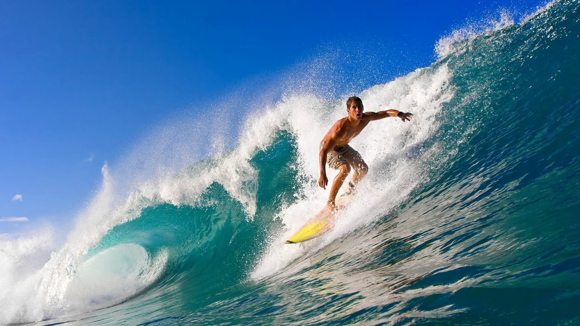 猛龙后卫连续砍分，带领球队逆转胜利，猛龙得分后卫