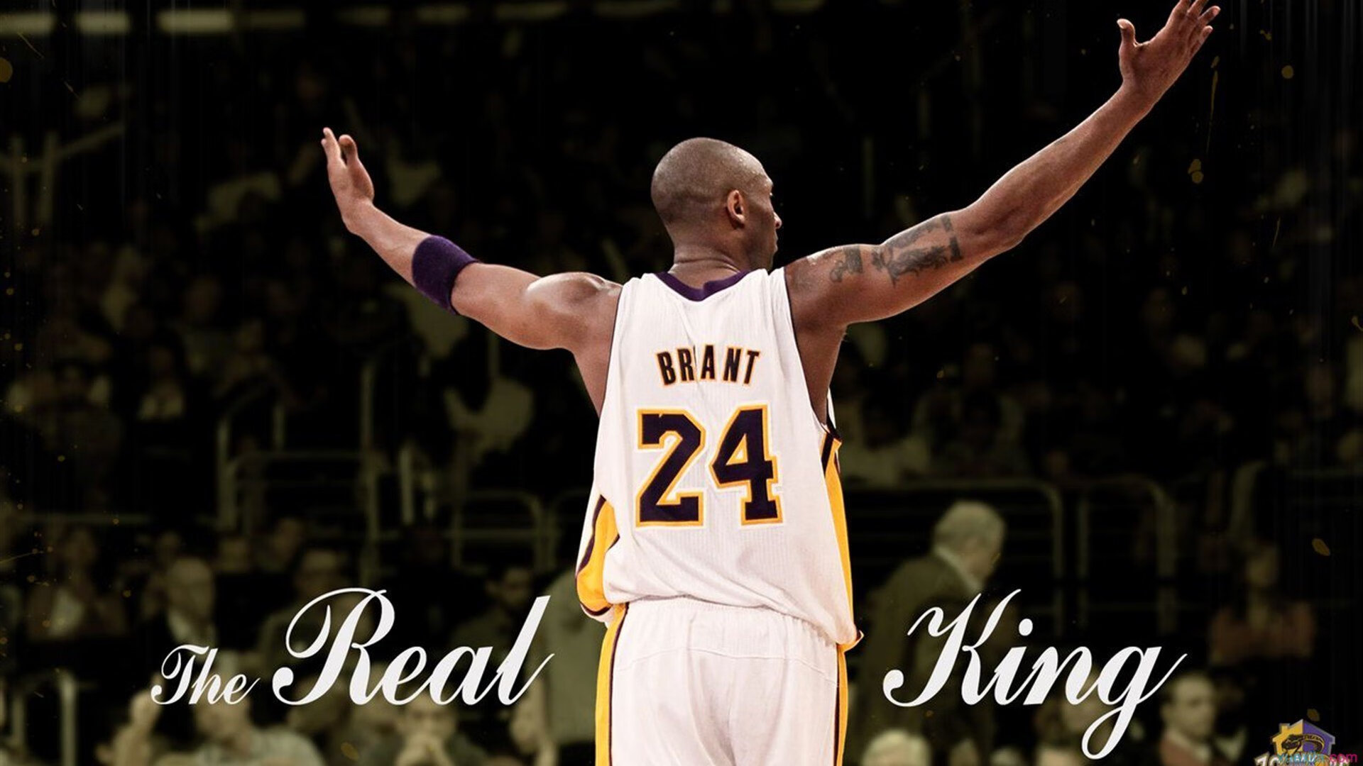 葡萄牙国家队备战世界杯，抢夺冠军，葡萄牙晋级世界杯了吗